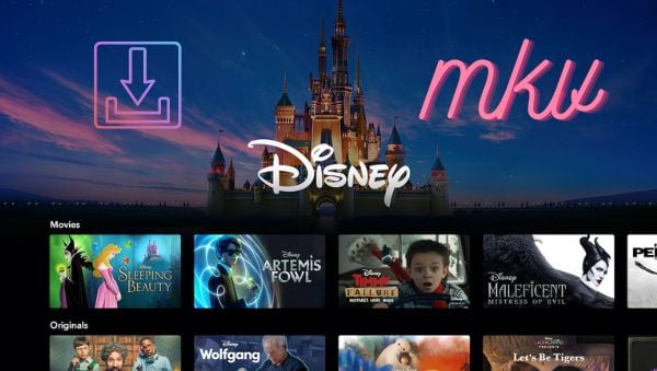 download disney+ videos in mkv format