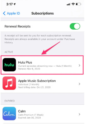 manage hulu plan on iphone