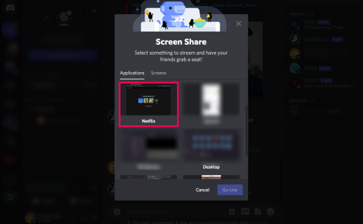 stream netflix on discord on pc