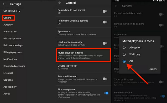 turn off muted playback on youtube app to fix autoplay not working