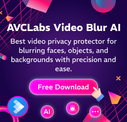 best video privacy protector for blurring faces, objects, and backgrounds